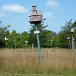 Birdhouse City