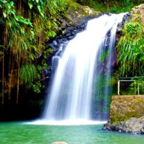 Honeymoon Excursions (Venmo - No Fees)