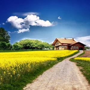 From Aisle to Acre