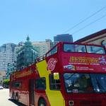Double Decker Bus Tour