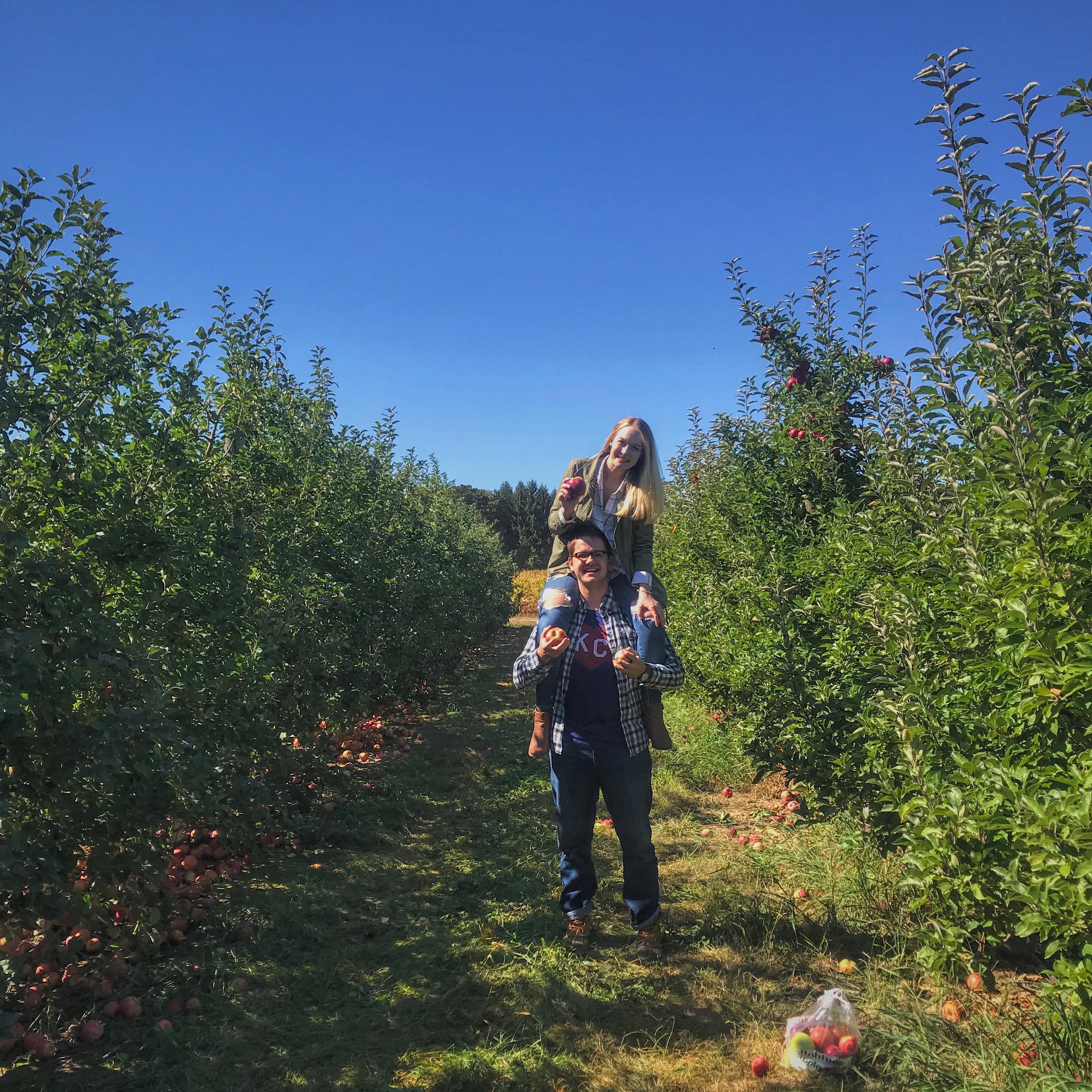 Apple picking at Robinette's.