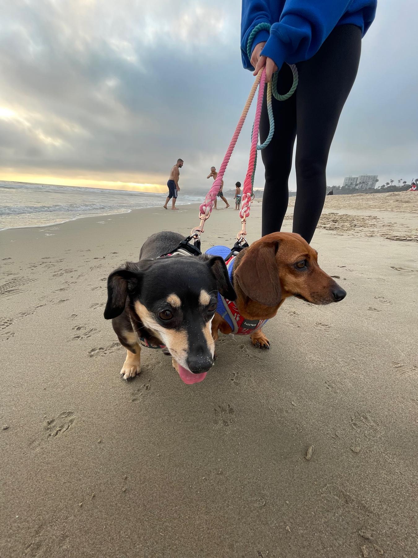 Our girls first time seeing the ocean 🌊💙