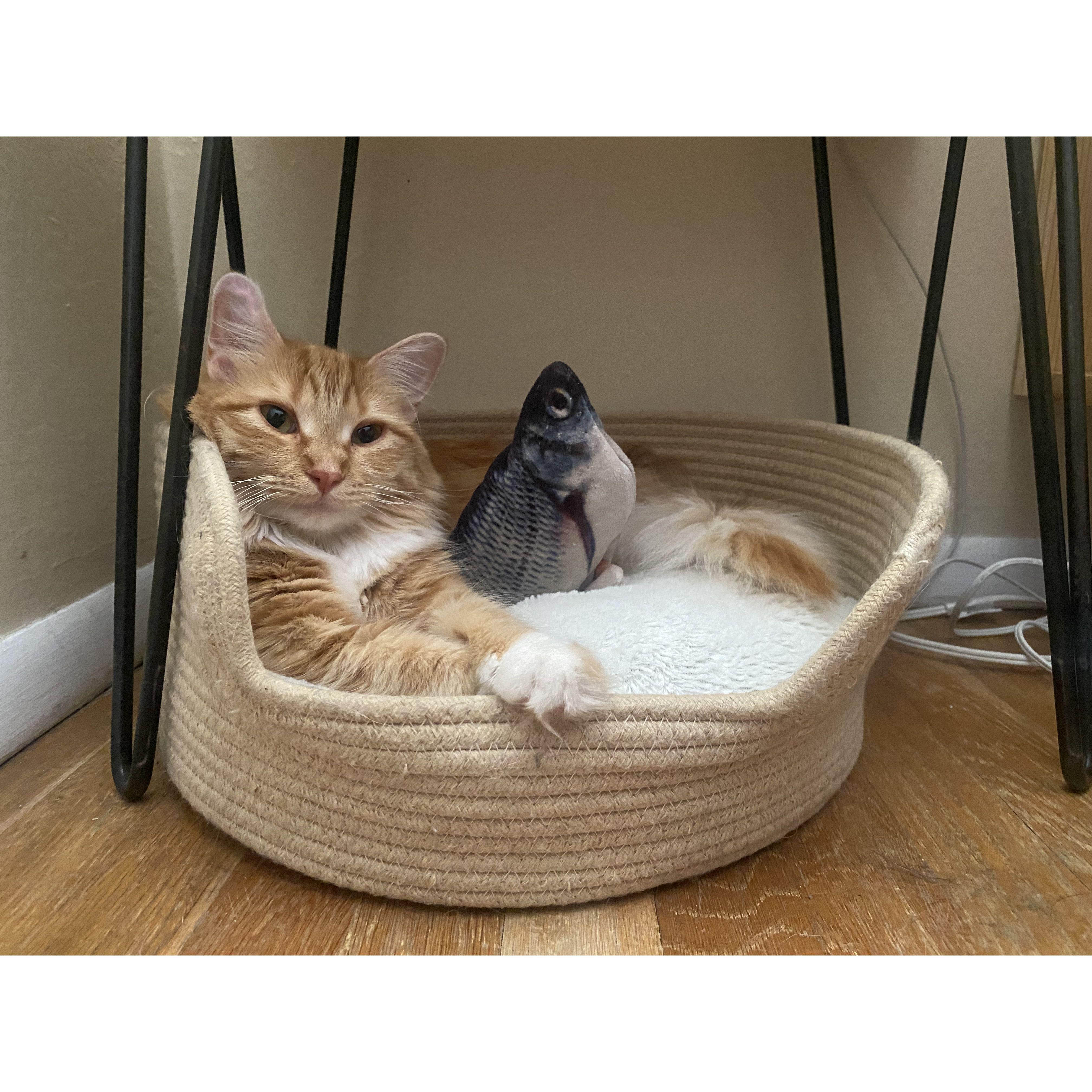 Piper and her fish