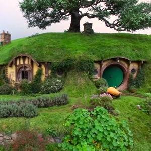 Hobbiton Movie Set Tour (Honeymoon)