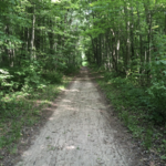 Bald Mountain State Recreation Area