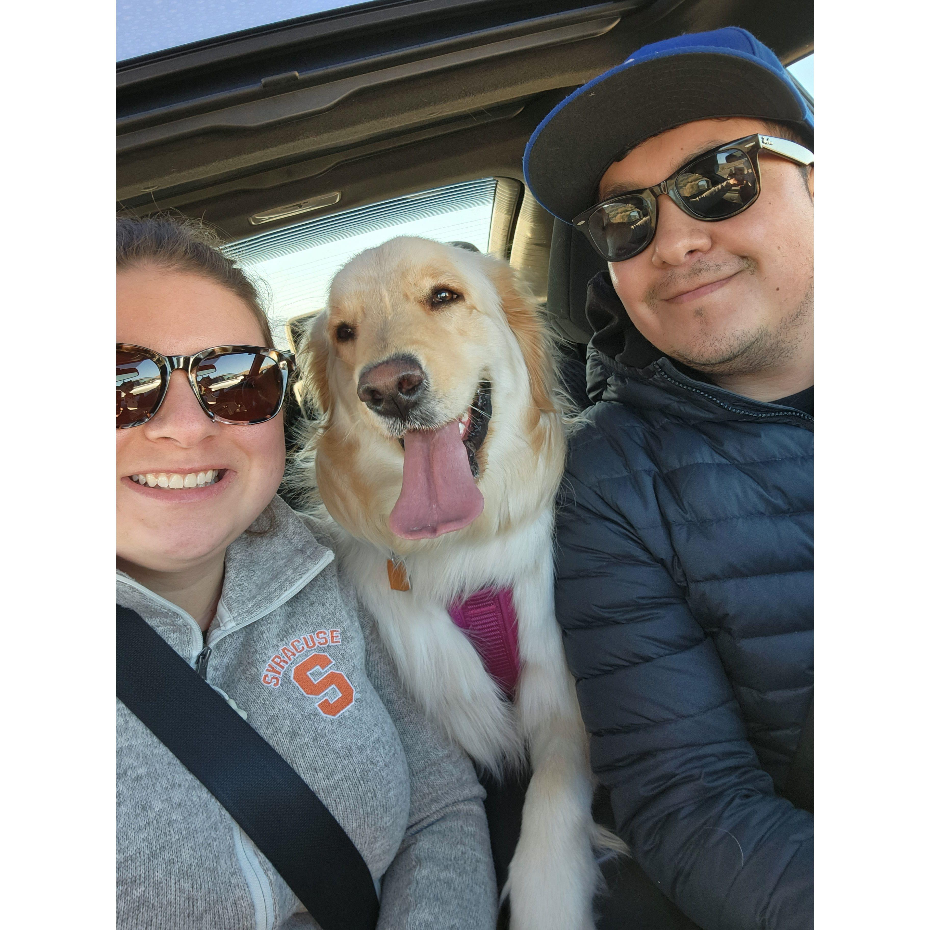 Enjoying a car ride with Suki