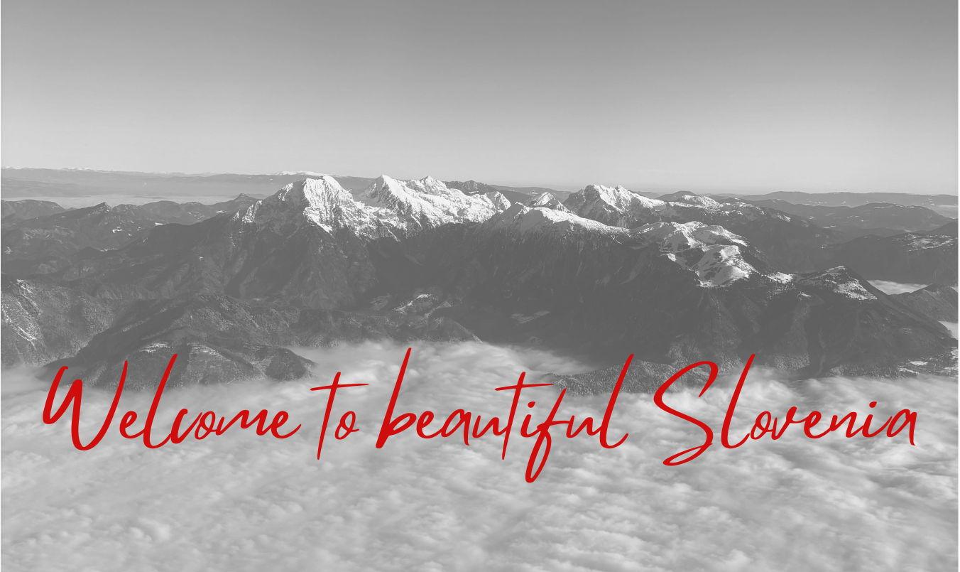 The Wedding Website of John Pelton and Andie Ovcjak