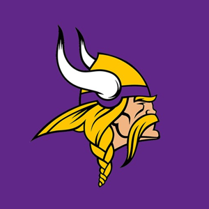 Minnesota Vikings Football Tickets For Two