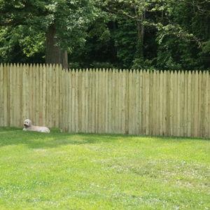 Severe Weather 6-ft x 8-ft Pressure Treated Spruce pine fir Gothic Privacy Stockade Fence Panel