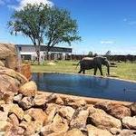 Sedgwick County Zoo