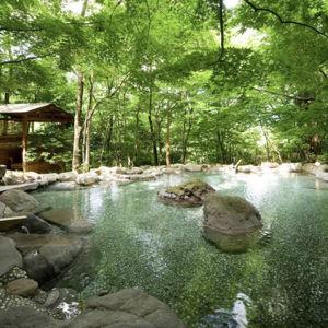 Ryokan (Hot Spring) 2 Night stay