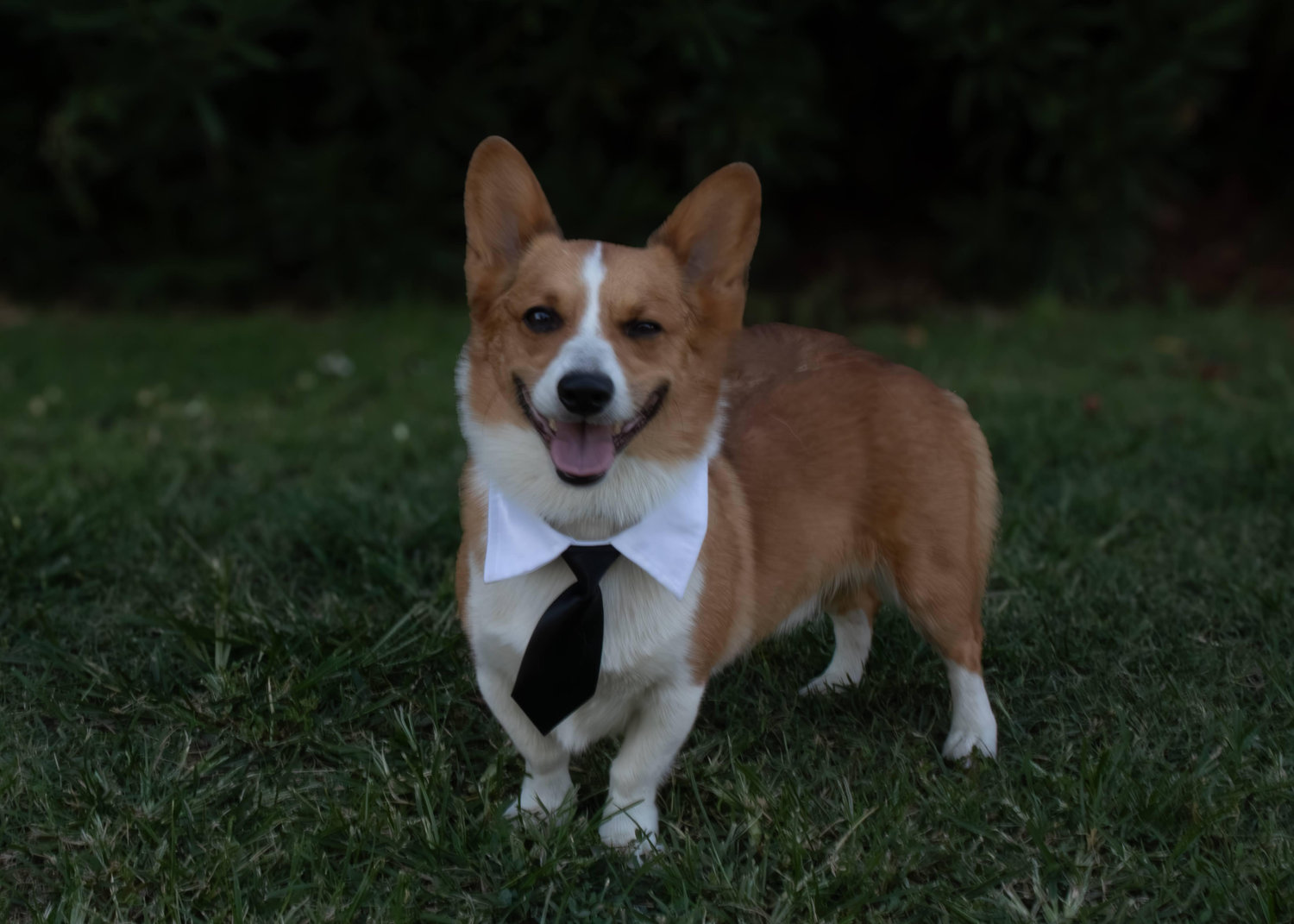 The Wedding Website of Bianca Pina and EJ Galvan