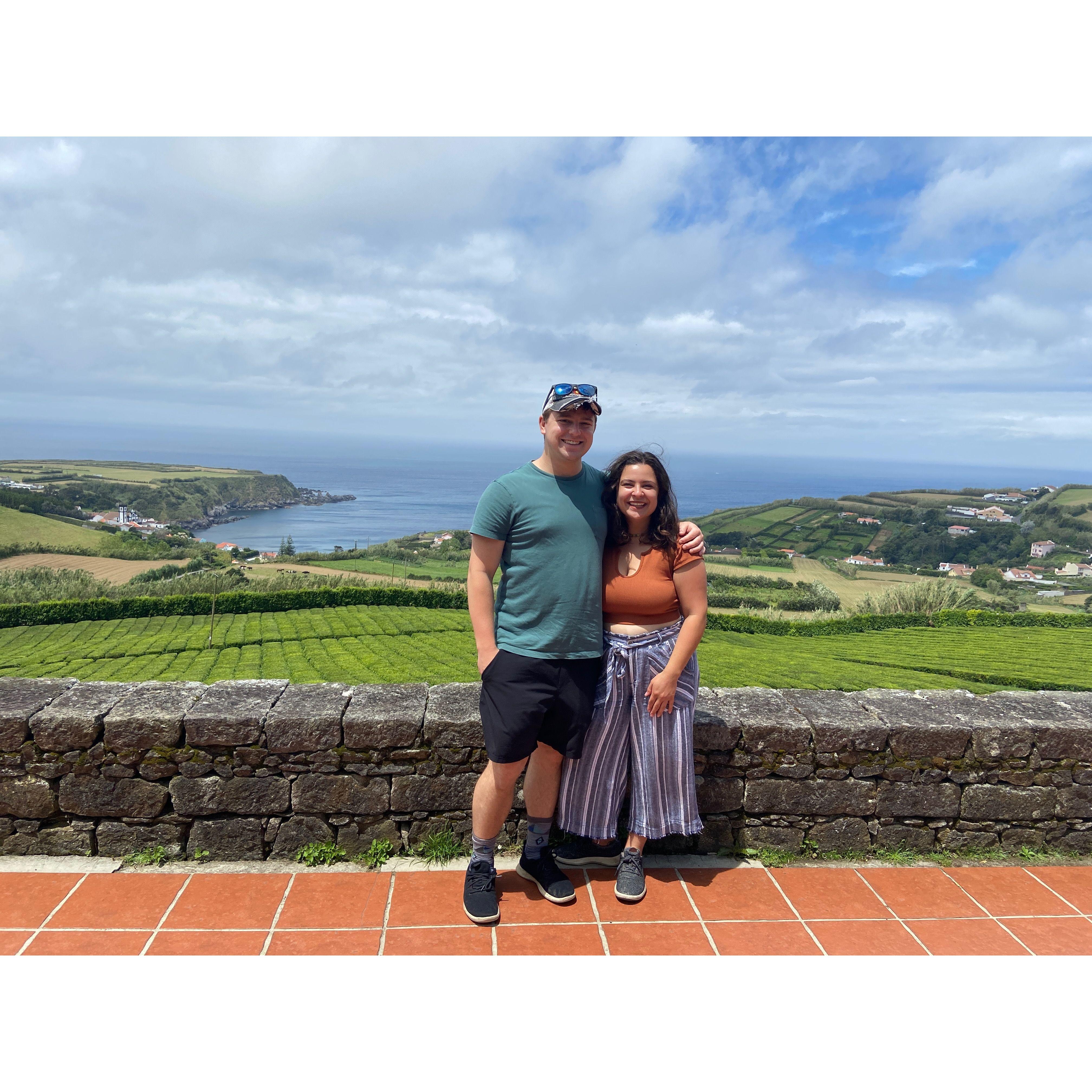 Azores is known for amazing tea farms as well!