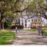 Plantation Visits