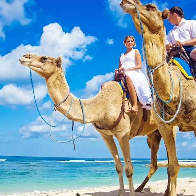 Camel Ride on the Beach for Two