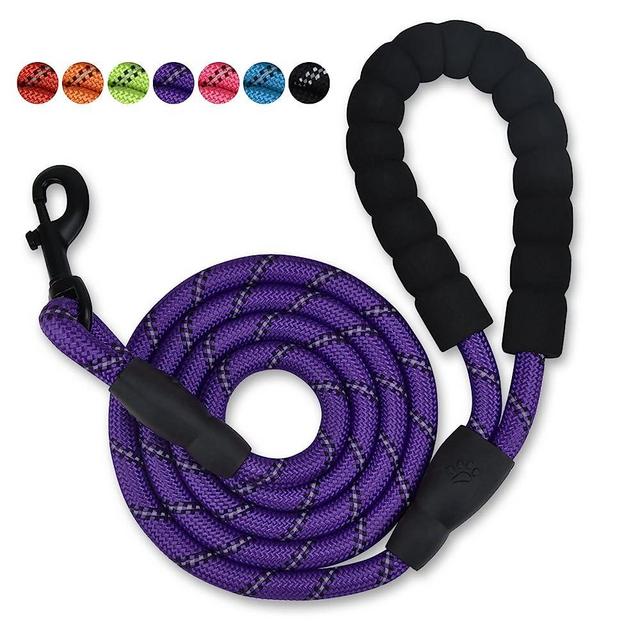 Olodeer Nylon Dog Leash with Padded Handle, 5 ft Length Dog Leash for Daily Walking and Training,Fit for Medium Large Dogs