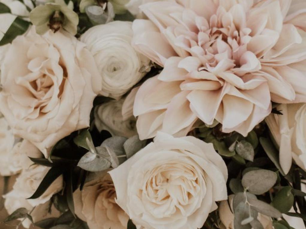 The Wedding Website of Alyssa Perez and Henry Groh
