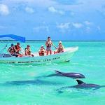 OBSERVATION DES ANIMAUX 🐊