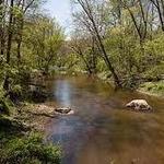 White Clay Creek State Park Nature Center