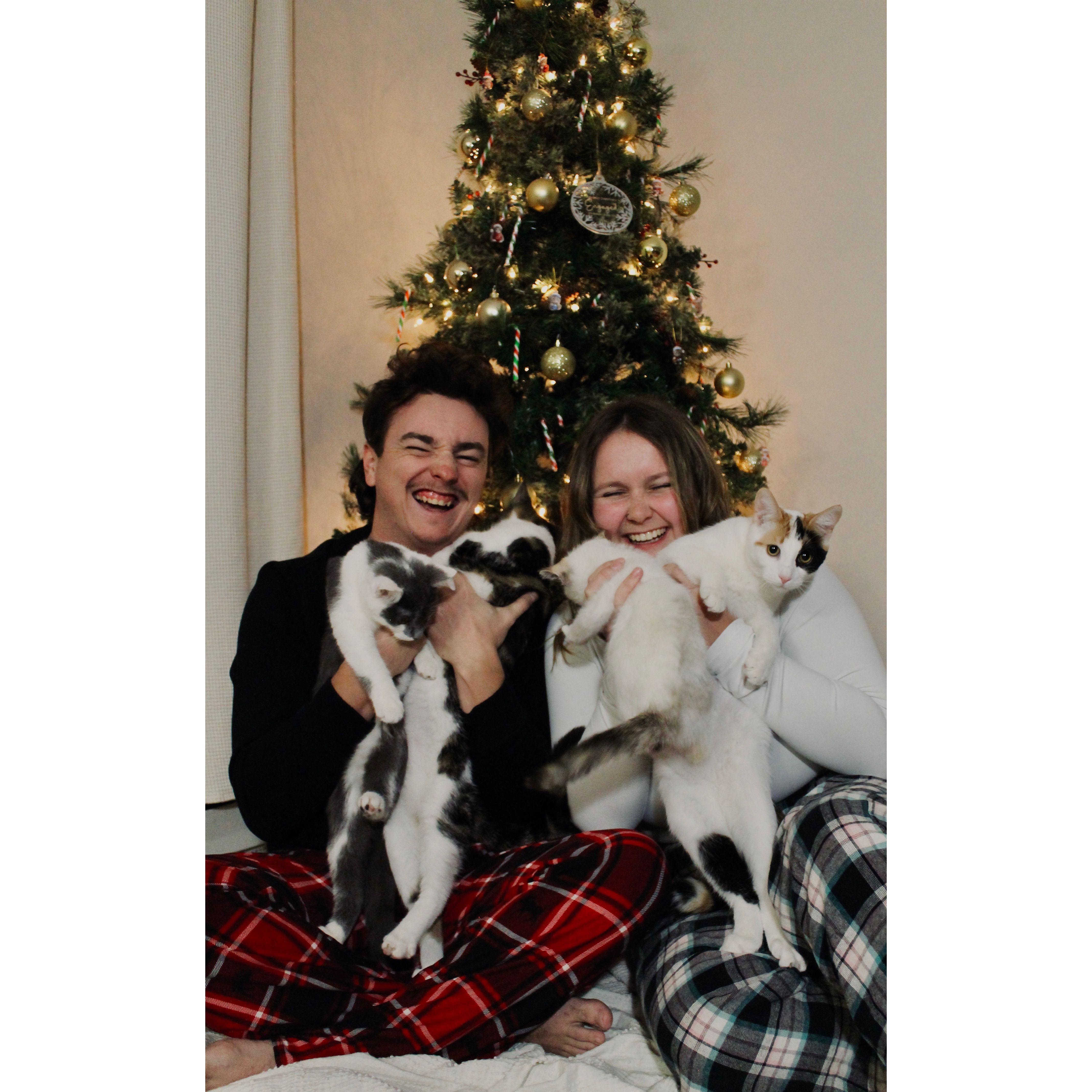 Christmas with our fur babies