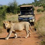 Pilanesberg National Pak