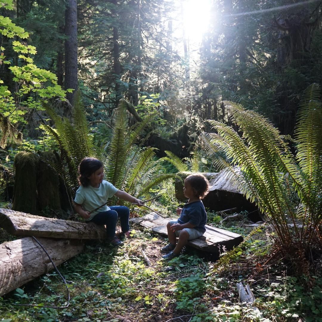 Olympic NP