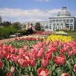 Lewis Ginter Botanical Garden