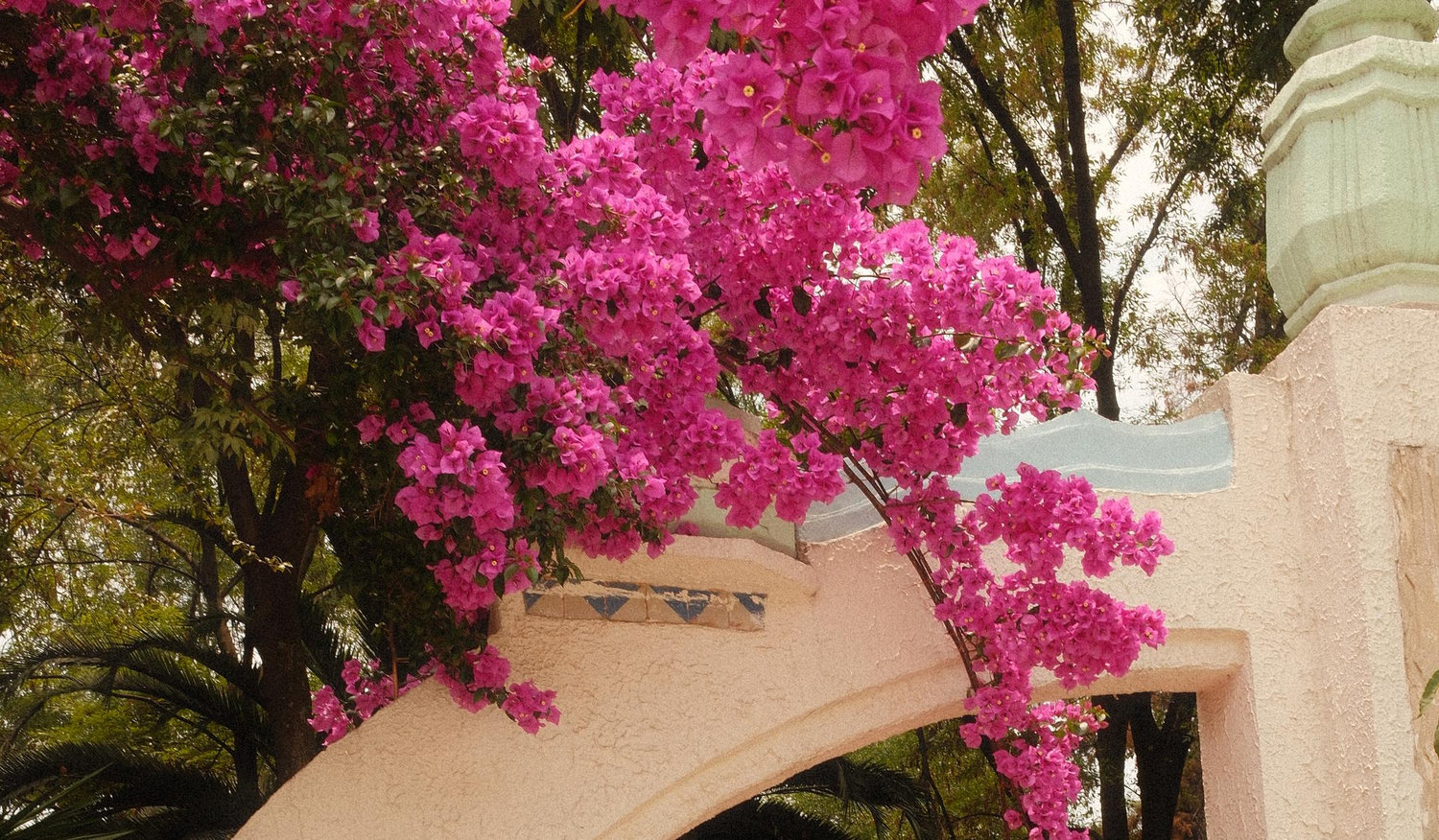 The Wedding Website of Christina Jimenez and Brian Covington