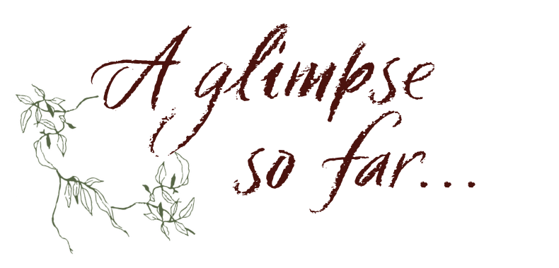 The Wedding Website of Solanch Tamayo and Adam Grewe
