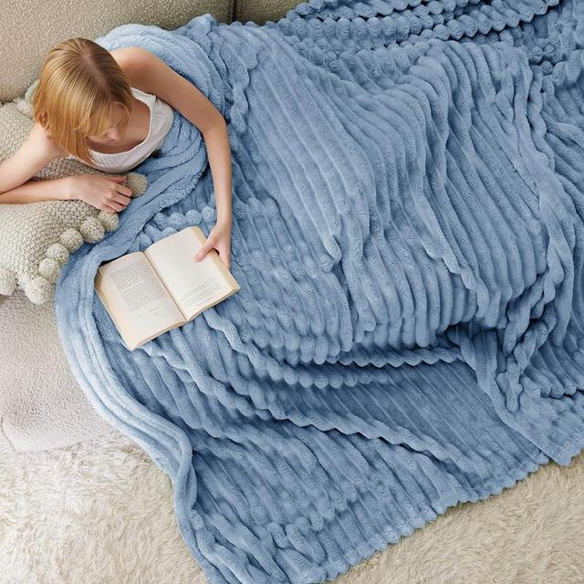 Bedsure Queen Blanket for Bed - Super Soft Cozy Blankets for Women, Cute Large Fall Blanket for Girls, Ashley Blue, 90x90 Inches