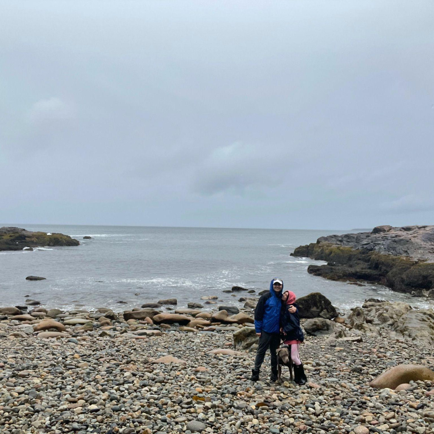 Spring 2021, our favorite shoreline in Maine