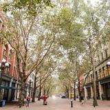 Occidental Square