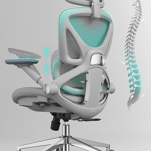 CAPOT Ergonomic Mesh Office Chair, Adjustable Lumbar High Back Desk Chair 400lbs, 4D Flip-up Arms, 3 Tilt Backrest, 3D Headrest, PU Wheels, Swivel Rolling Computer Seating for Long Desk Work - Grey