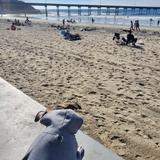 Ocean Beach Pier