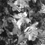 University of Wisconsin Arboretum Visitor Center
