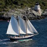 Sight Sailing of Newport