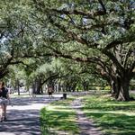 Audubon Park