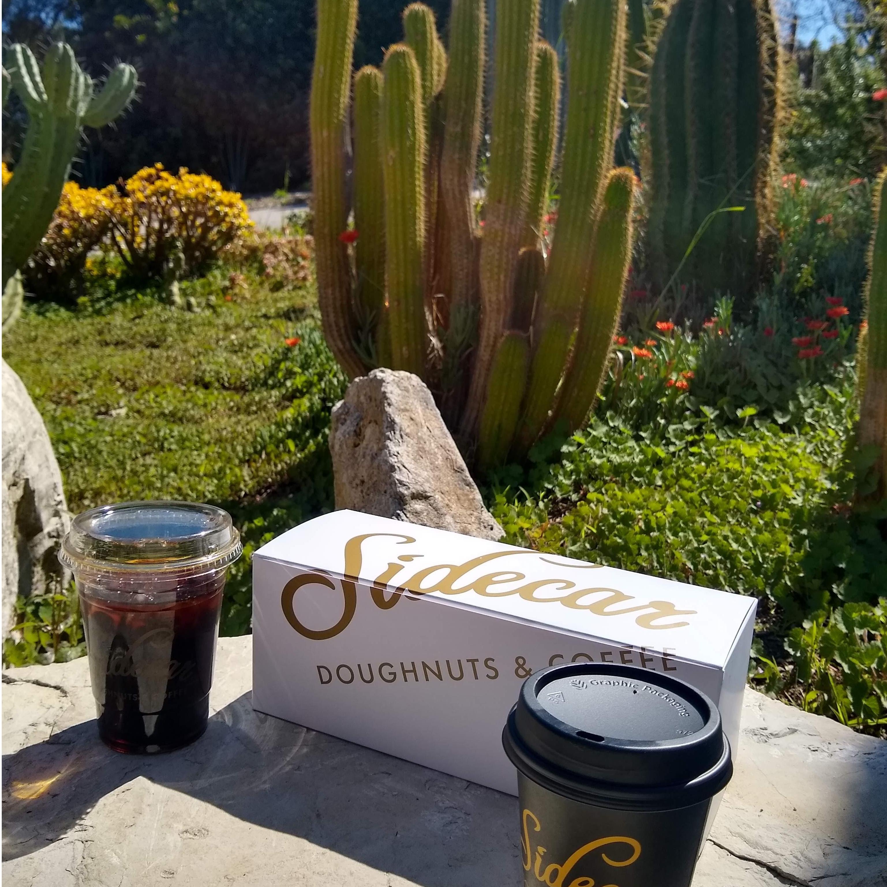 Marking the intended day of our wedding with donuts and coffee in the South Coast Botanical Garden.