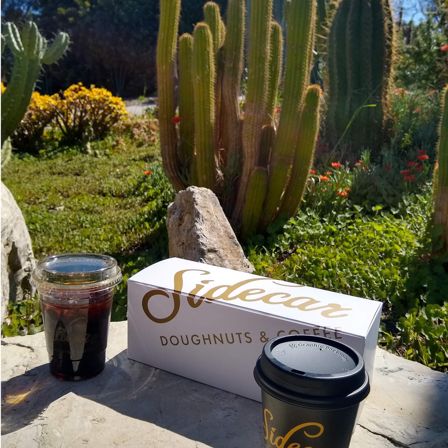 Marking the intended day of our wedding with donuts and coffee in the South Coast Botanical Garden.