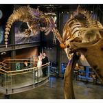 New Bedford Whaling Museum