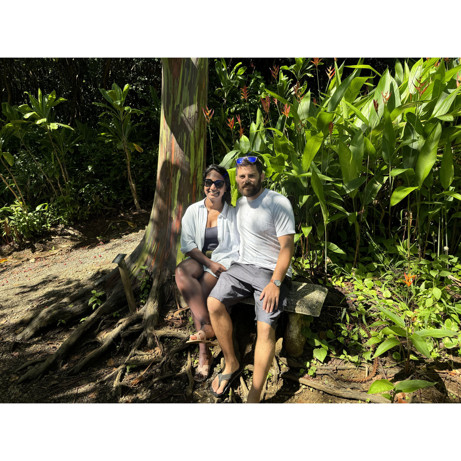 Big Island