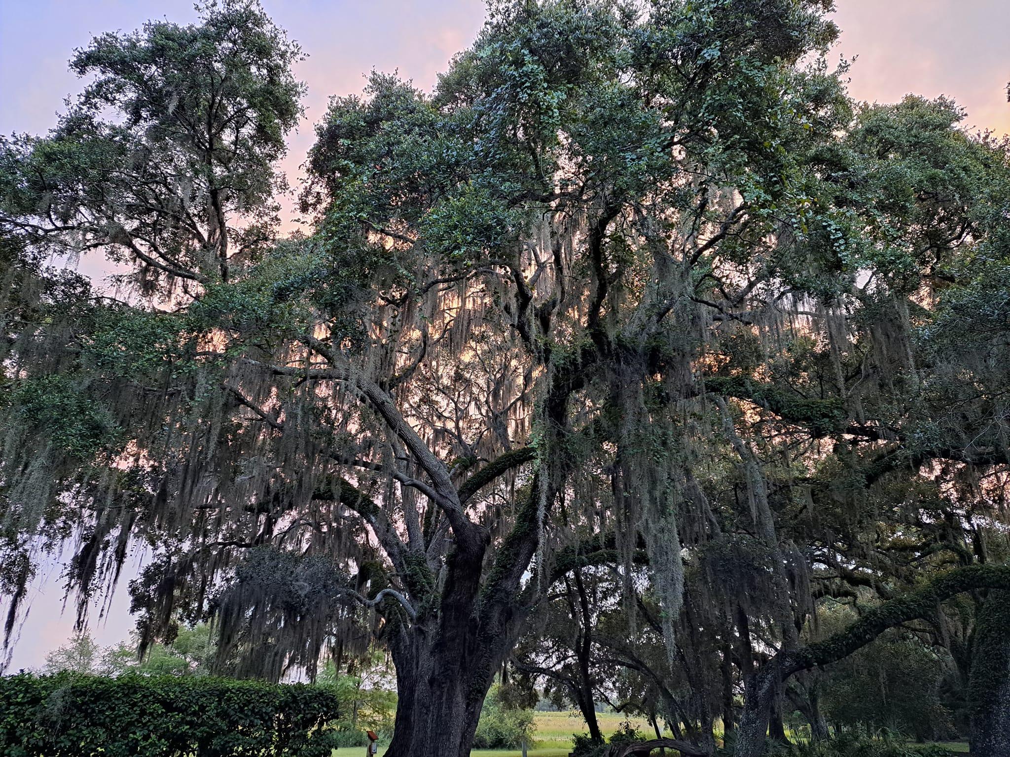 The Wedding Website of Chelsea Elkins and Jacob Elkins