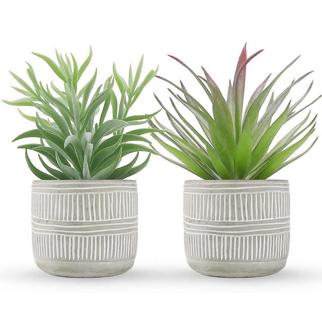 Der Rose 2 Packs Fake Succulents Plants Artificial Succulents in Pots for Room Home Bathroom Bedroom Office Boho Decor