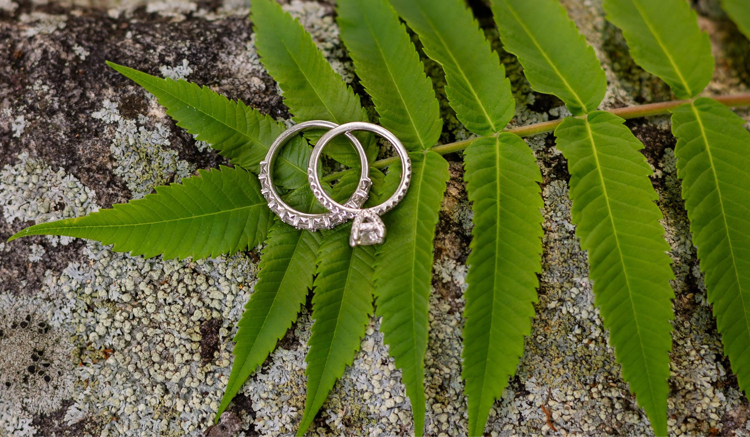 The Wedding Website of Jordan Wieber and Sabrina Lukasavitz