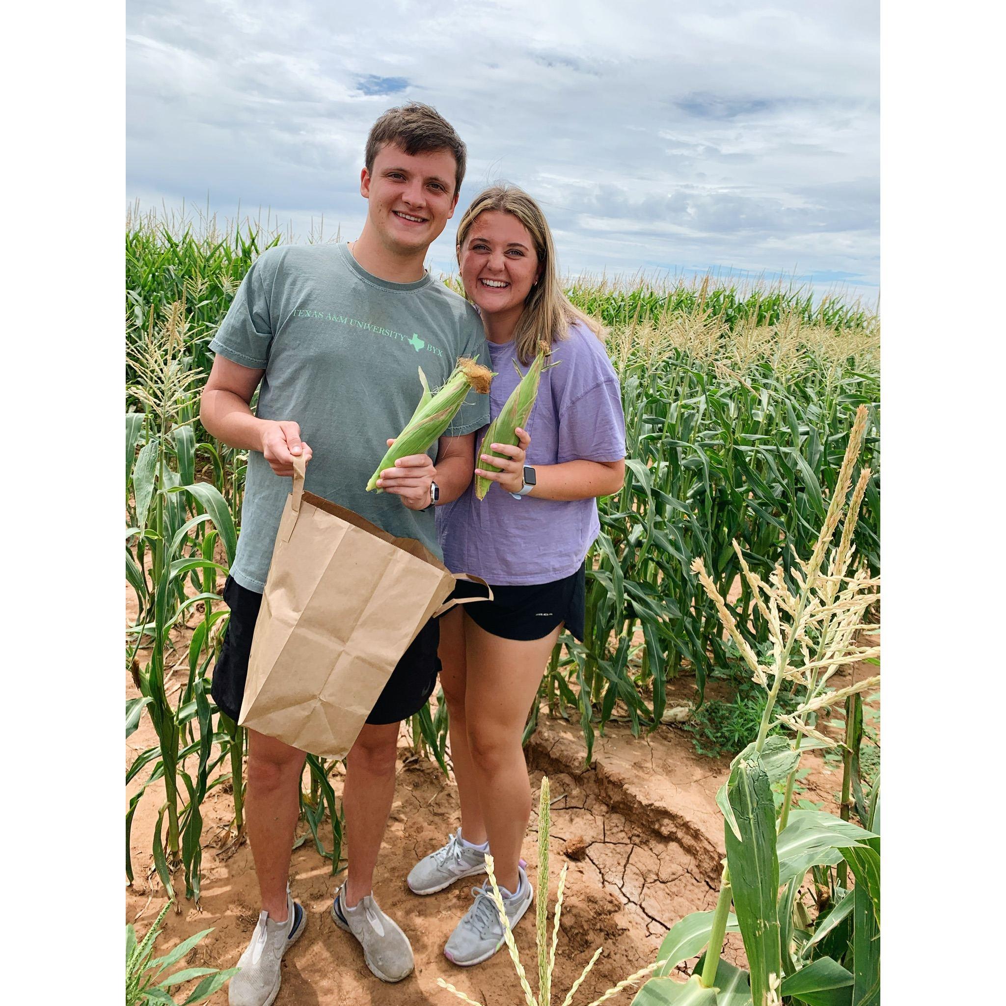 August 2021- And Calli got to visit Olton, where Grayson's grandparents took them to pick fresh corn!