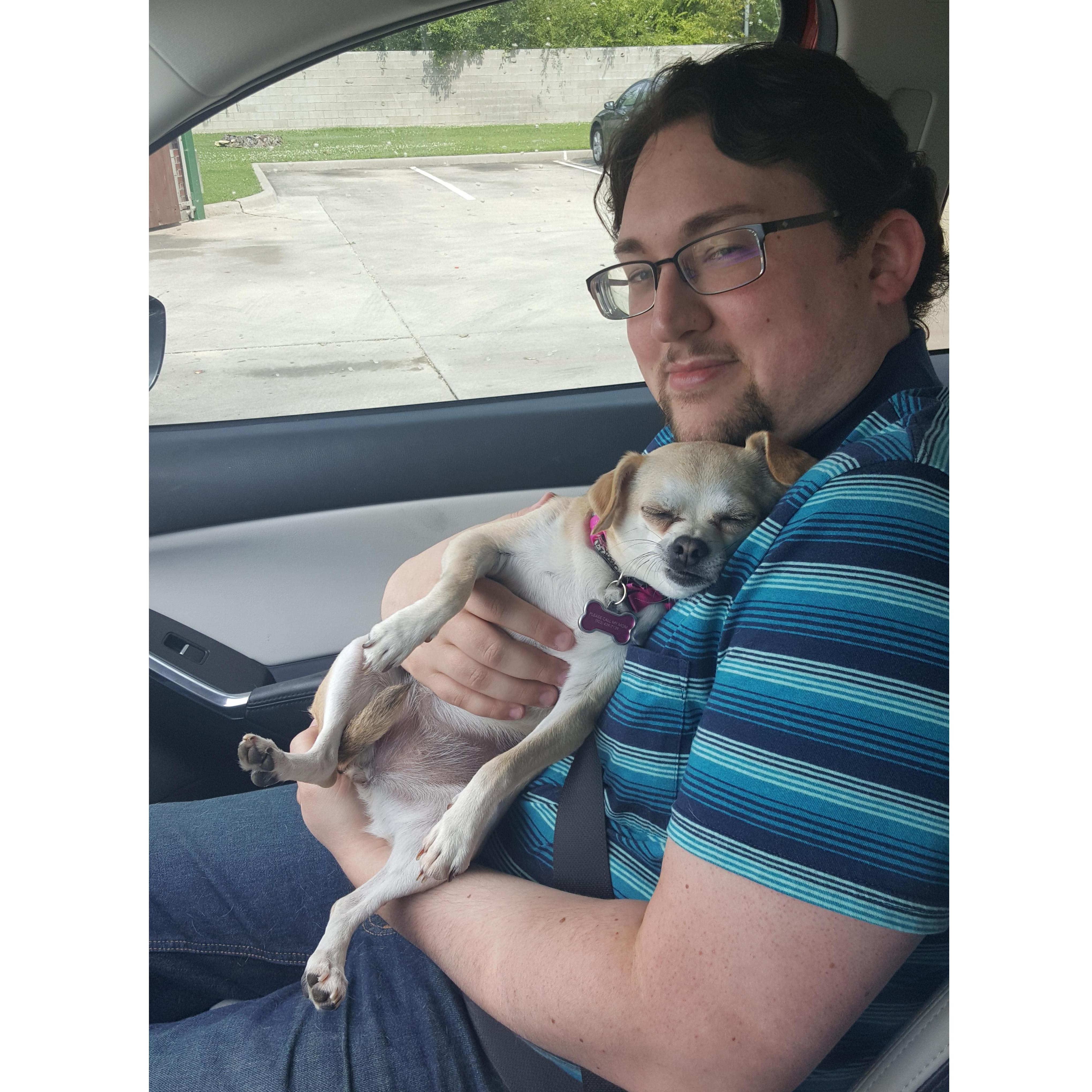 Making a trip to Sulphur Springs with the pups!