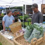 Ellington Farmer's Market