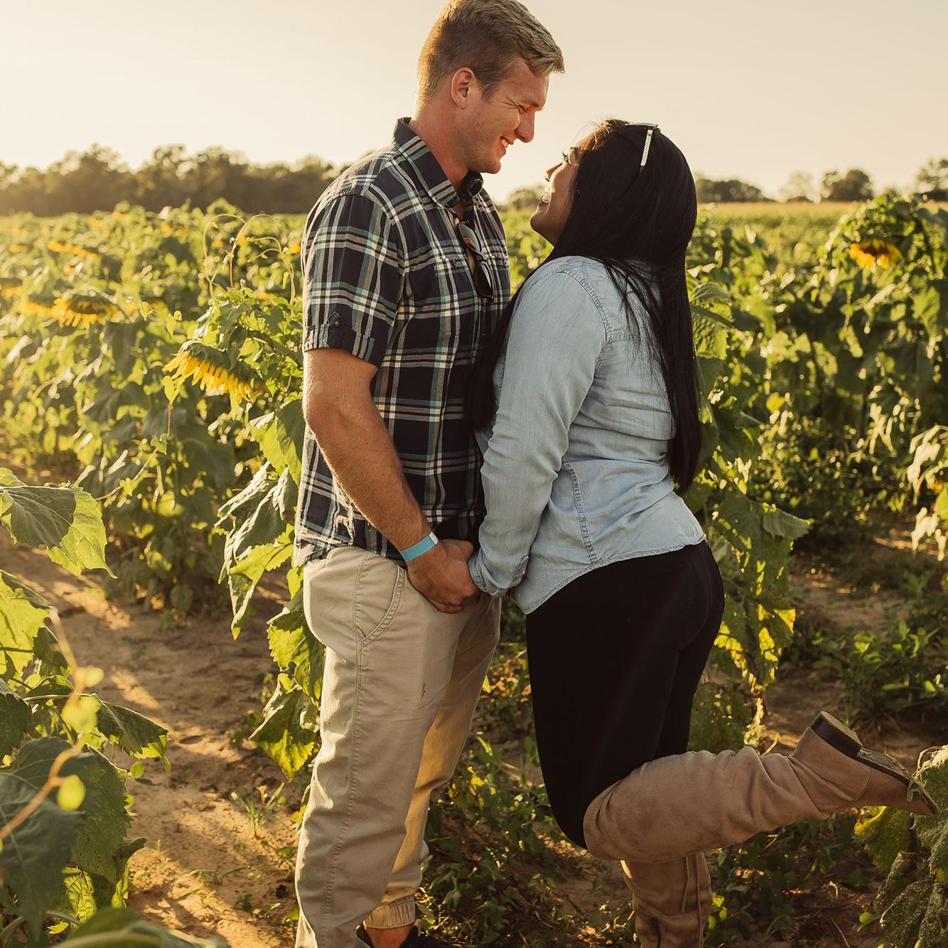 Sunflower field date