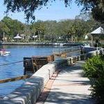 Sims Park