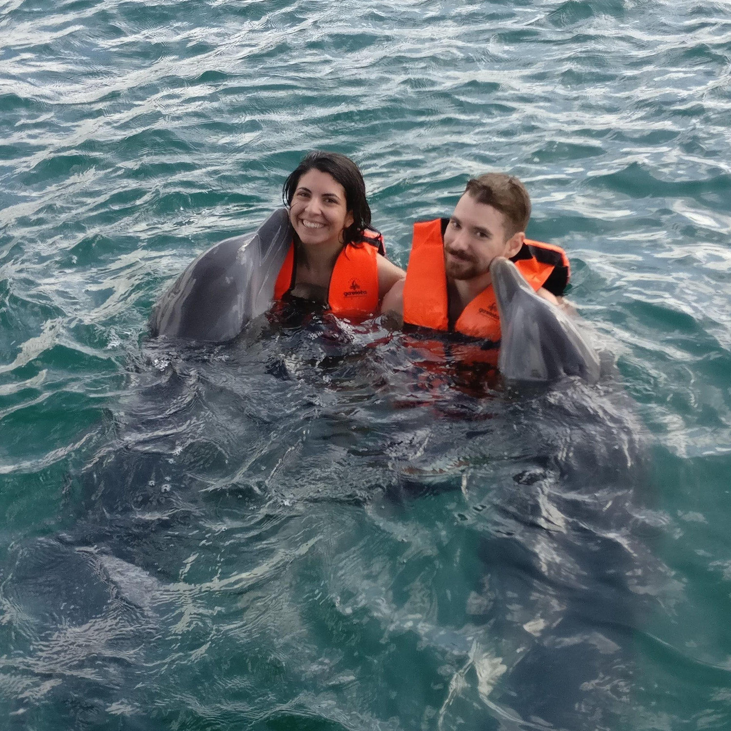 Where playful souls meet in the deep blue, Cuba